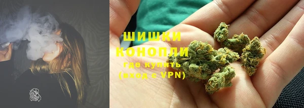 дмт Нея