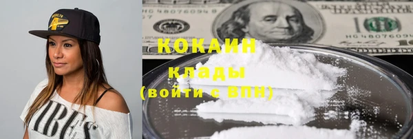 дмт Нея