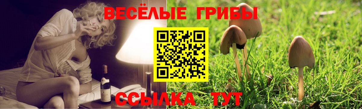Псилоцибиновые грибы ЛСД Электрогорск