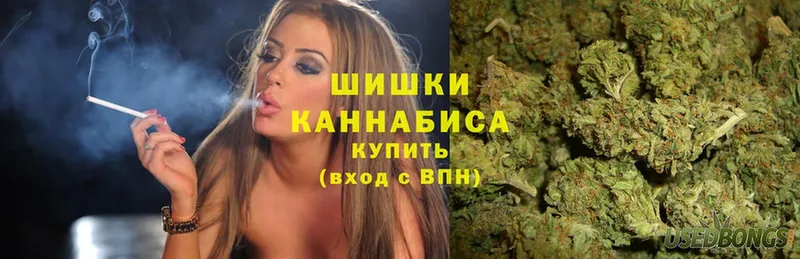 Бошки марихуана SATIVA & INDICA  где можно купить наркотик  Электрогорск 